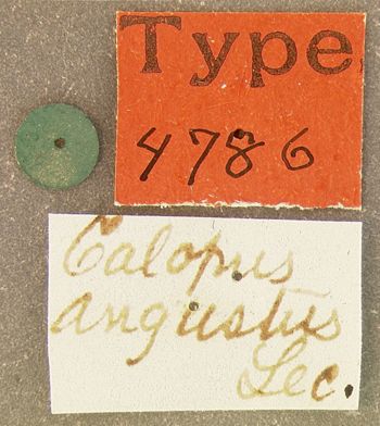 Media type: image;   Entomology 4786 Aspect: labels